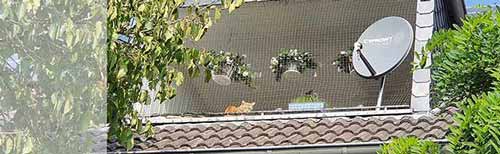 ﻿Eine Katze sitzt auf einem Balkon eines oberen Hausstockwerk, als Symbolbild für den Haustierschutz.